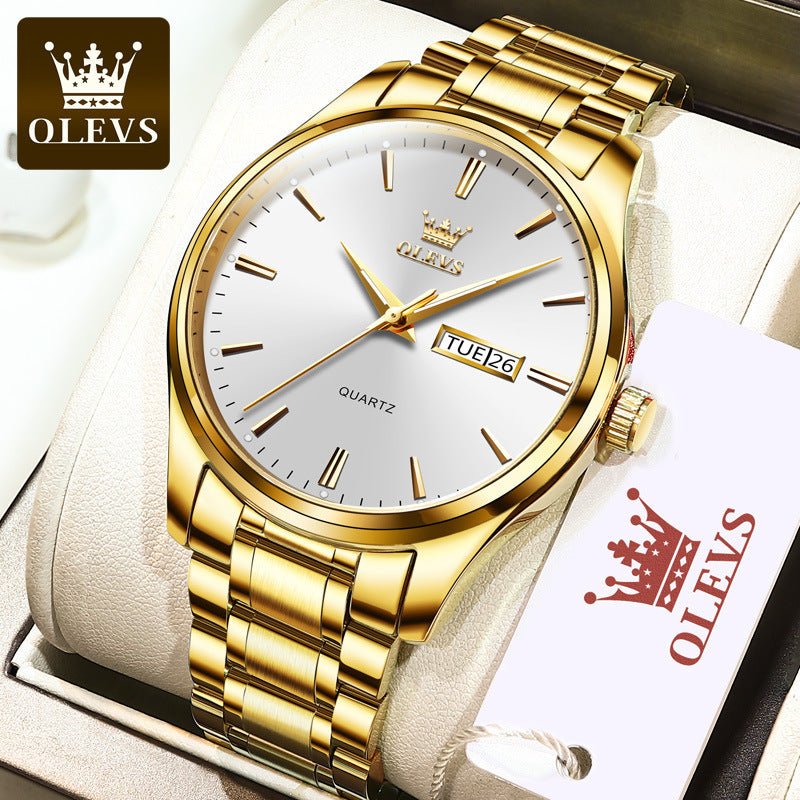 Anima Men's Automatic Mechanical Watch - Slim & Waterproof
