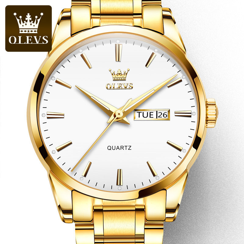 Anima Men's Automatic Mechanical Watch - Slim & Waterproof